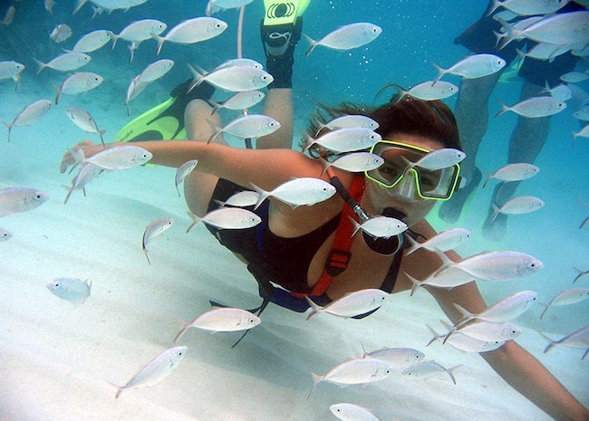 Shirley watching the white fish on her Snuba tour.