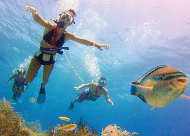 Anne swimming near a colorful fish with her Snuba equipment in Cozumel.